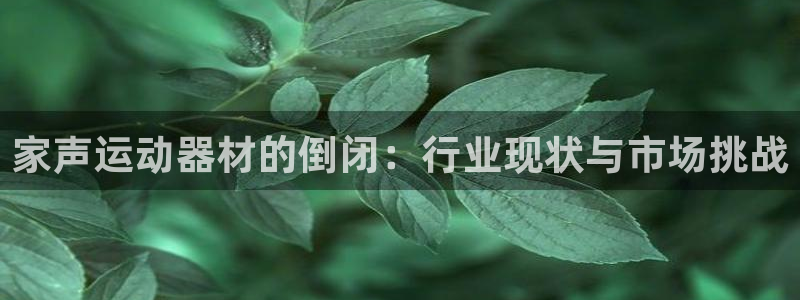 征途国际代理:家声运动器材的倒闭:行业现状与市场挑战