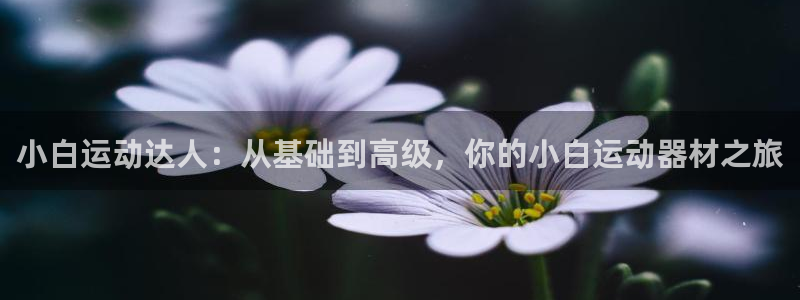 征途国际联系电话:小白运动达人:从基础到高级,你的小白运动器