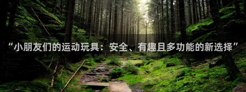 征途国际神州:“小朋友们的运动玩具:安全、有趣且多功能的新选