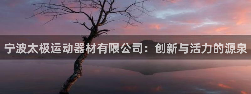 征途国际招商电话号码查询:宁波太极运动器材有限公司:创新与活